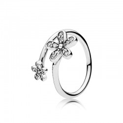 Anillo en plata de ley...