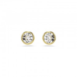 Swarovski Imber stud...