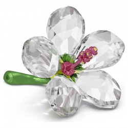Swarovski Florere Hibiscus...