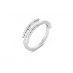 Anillo Joidart Arquitectura...